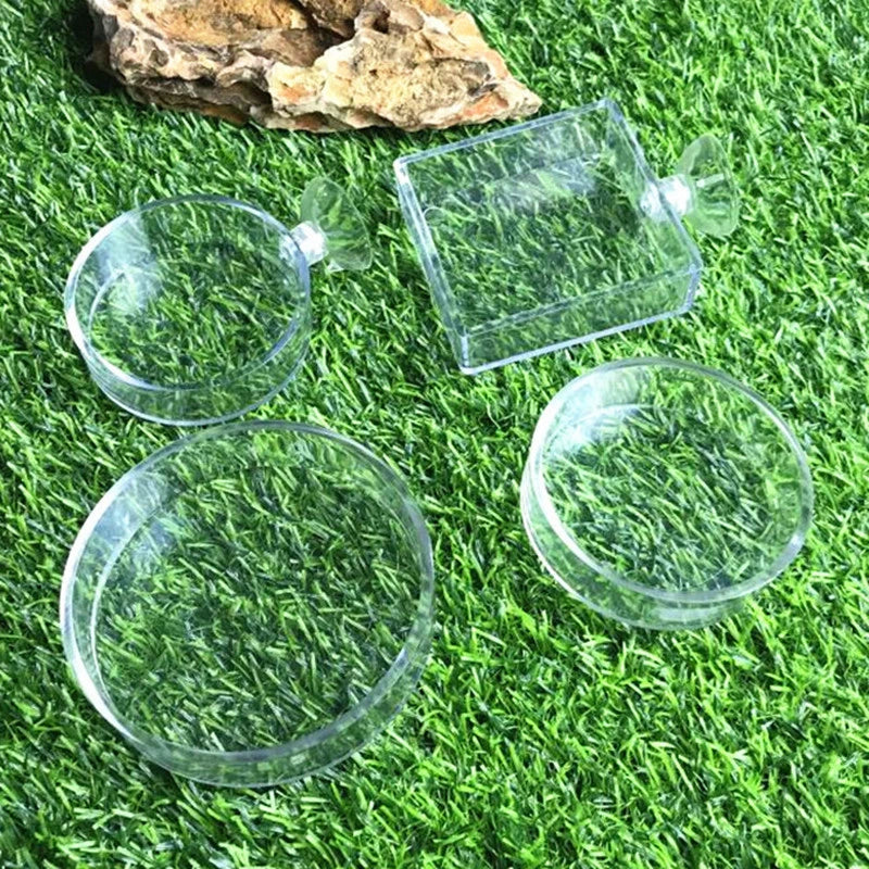 Fish Tank Feeder Aquarium Shrimp Glass Feeding Bowl Clear Dish Tray Container Feeders Aquarium Round Square Fish Shrimp Feeding
