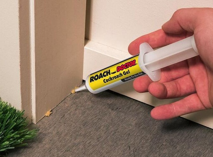 Cockroach-Killing Glue Bait Syringe