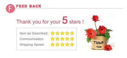 Underwear Women Bra Front Buckle Backless Butterfly Decoration Sexy Push Up Bras Adjustable Straps Bralette Lingerie Suit