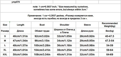 Short Sleeve Shirts Womens Mesh Pleated Pintucked Loose Tunic Casual Club Fairycore Trendy Urban Student Artistic Youthful