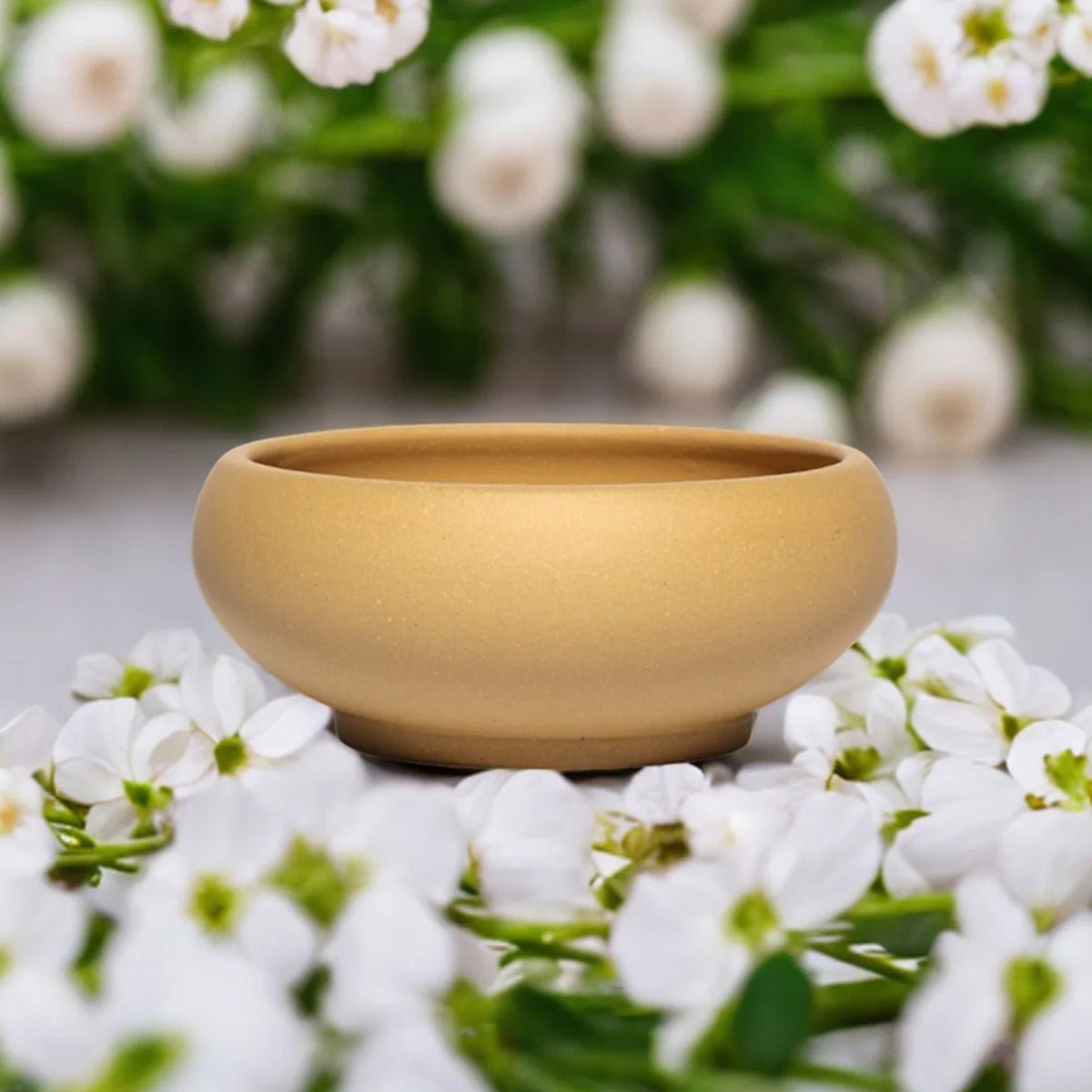 Flowerpot Red Stoneware Flower Pots With Drain Hole Elegant Promote Healthy Growth Planter For Balcony Living Room Bedroom