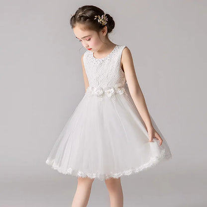 Girl's Princess dress Children's Day Birthday Party Lace Bubble skirt Summer style Dress