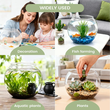 Bubble Bowl Space-Saving Aquarium Accessories Bubble Planter Bowl for Table Centerpiece Party Decorations Home Event Indoor