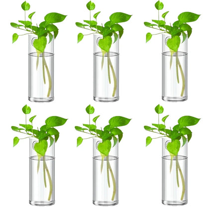 Glass Wall Vase Hanging Hydroponic Planter Wall-Mounted Flower Vases for Home Office Decor with Traceless Hook