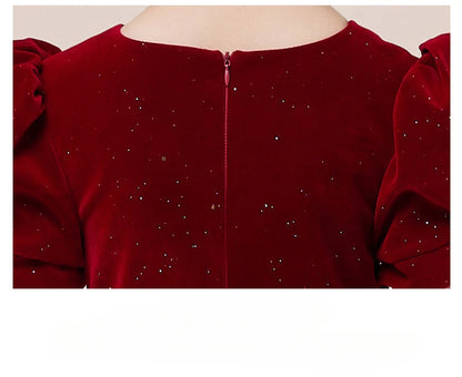 Kids Party Dress Clothing For Birthday Princess  Wine Red Piano Wedding Flower Girl 5-17 Years Old  Host Children's Formal Dress