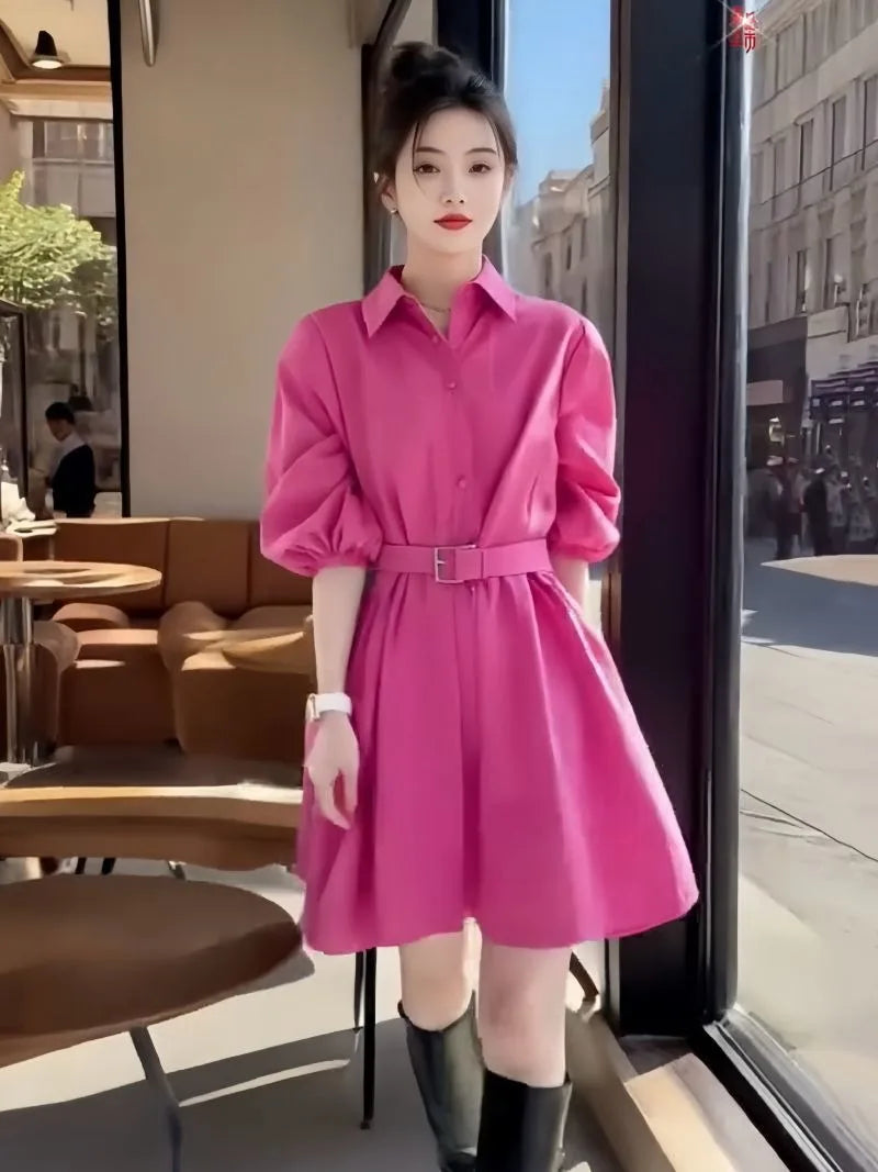 New Spring Summer Women's Dress Clothes Fashion Elegant Temperament Waist Causal All-Match Pullover Dress Ladies Vestidos