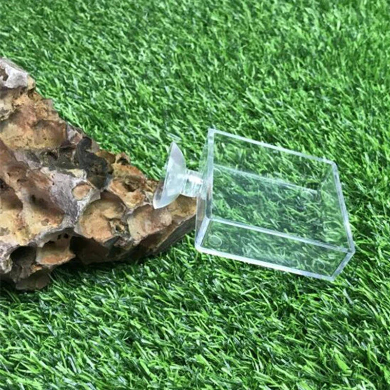 Fish Tank Feeder Aquarium Shrimp Glass Feeding Bowl Clear Dish Tray Container Feeders Aquarium Round  Square Fish Shrimp Feeding