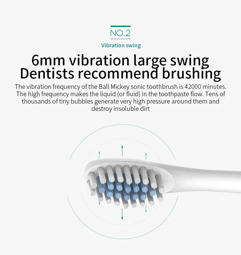 Adult Sonic Electric Toothbrush IPX7 Waterproof with DuPont Brush Head USB Rechargeable High-Frequency Cleaning 6 Modes
