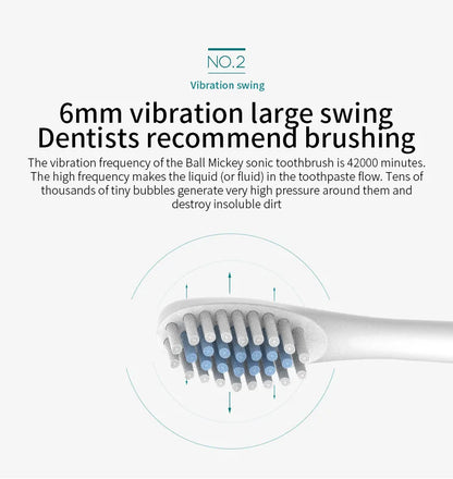 Adult Sonic Electric Toothbrush IPX7 Waterproof with DuPont Brush Head USB Rechargeable High-Frequency Cleaning 6 Modes