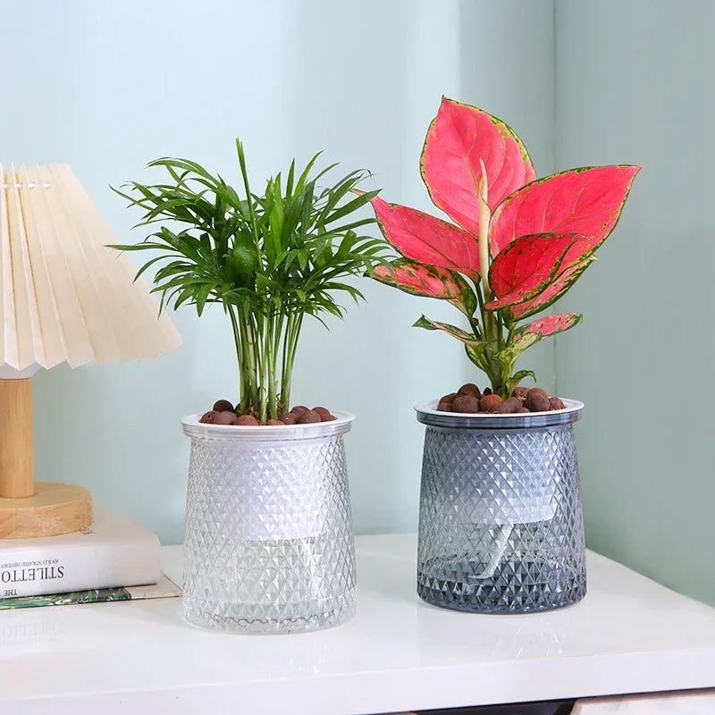 Self Watering Plant Pots, Lazy Hydroponic Water Absorbing Flower Pot, Mini Succulent Planter Tabletop Vase, Home Bonsai Decor (Available)