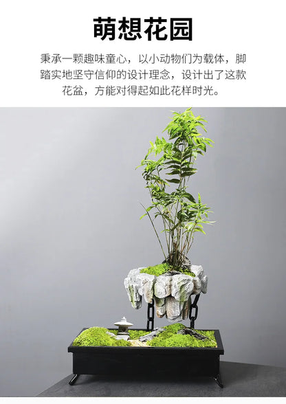 Creative Bamboo Succulent Pot Rich Tree Bonsai Iron Tree Rice Bamboo Indoor Floating Island Suspended Iron Micro Landscape Pot