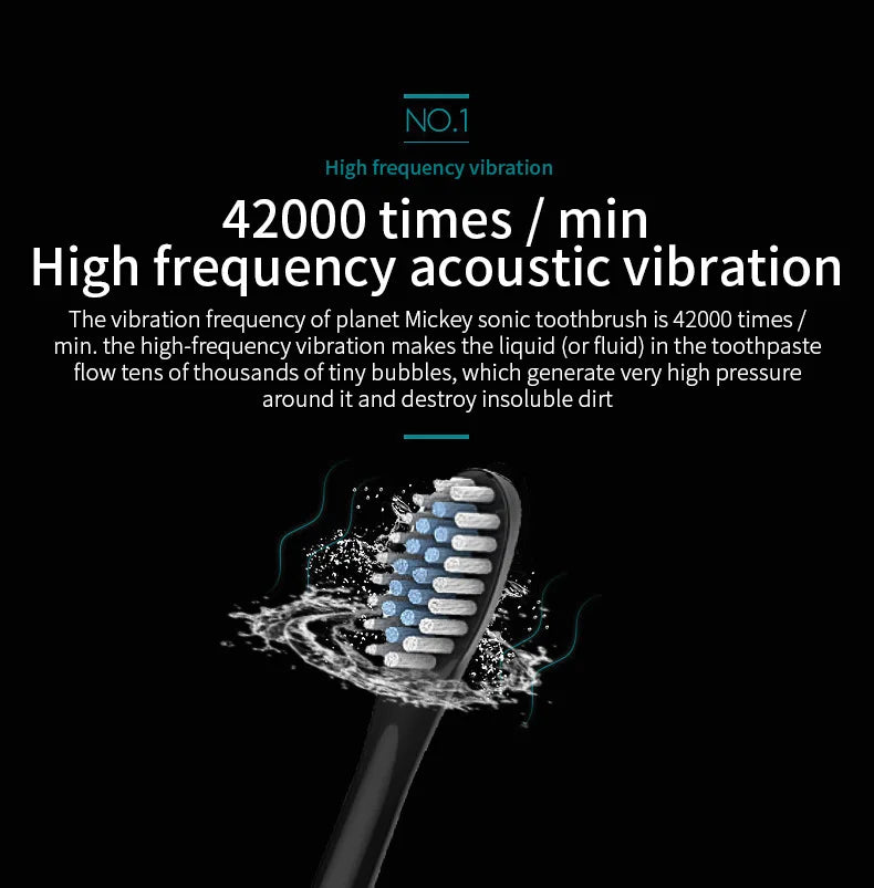Adult Sonic Electric Toothbrush IPX7 Waterproof with DuPont Brush Head USB Rechargeable High-Frequency Cleaning 6 Modes