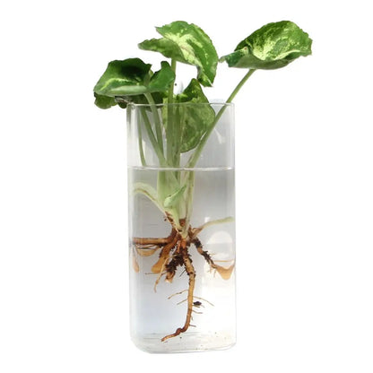 Cone Shape Wall Hanging Vase Transparent Fish Tank Wall Planter Plant Holder Aquarium Container Hydroponics Plants Flowerpot