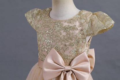 Stunning Little/Big Girls Lace Flower Girl Wedding Bridesmaid Birthday Party Holiday Pageant Easter Prom Fancy Dress