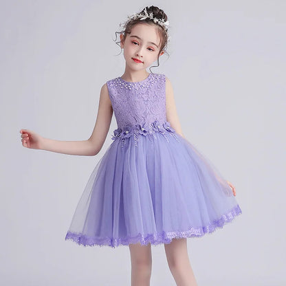Girl's Princess dress Children's Day Birthday Party Lace Bubble skirt Summer style Dress