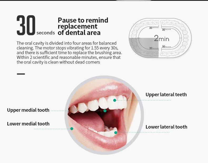 Adult Sonic Electric Toothbrush IPX7 Waterproof with DuPont Brush Head USB Rechargeable High-Frequency Cleaning 6 Modes
