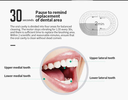 Adult Sonic Electric Toothbrush IPX7 Waterproof with DuPont Brush Head USB Rechargeable High-Frequency Cleaning 6 Modes
