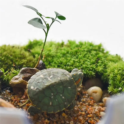 ABHZ-Hydroponic Automatic Water Absorption Succulent Flower Pot Self-Watering Flower Pot Hydroponic Lazy Flower Pot