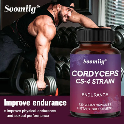 Cordyceps Capsules - Stamina and Energy Support, Helps Immune & Cardiovascular Health, Brain Supplement for Memory and Focus