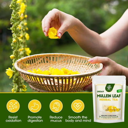 Mullein Leaf Extract Supplement- Herbal Respiratory Supplement - for Lung Cleanse,Support Better Respiratory & Immune Function