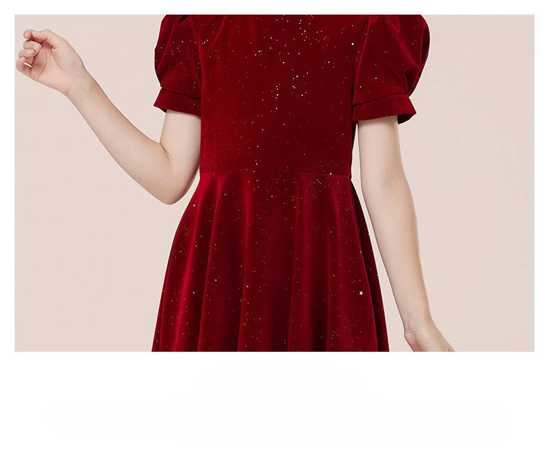 Kids Party Dress Clothing For Birthday Princess  Wine Red Piano Wedding Flower Girl 5-17 Years Old  Host Children's Formal Dress