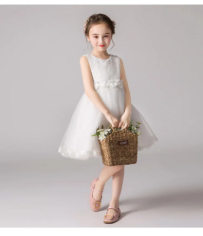 Girl's Princess dress Children's Day Birthday Party Lace Bubble skirt Summer style Dress