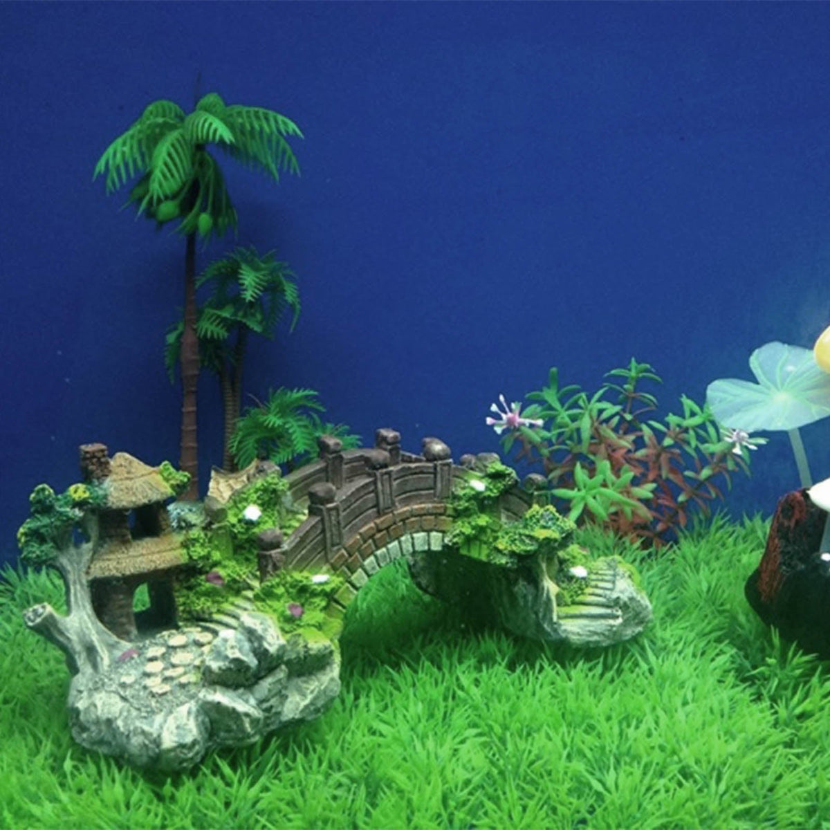 Aquarium Bridge Decoration Bangladesh - Small China Town