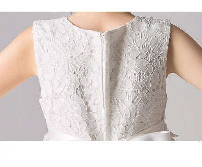 Girl's Princess dress Children's Day Birthday Party Lace Bubble skirt Summer style Dress