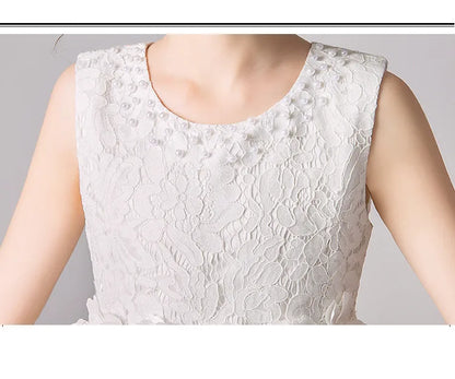 Girl's Princess dress Children's Day Birthday Party Lace Bubble skirt Summer style Dress