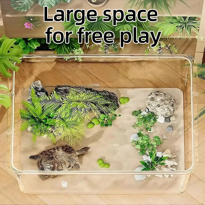 Desktop Fish Tank Bangladesh Transparent Aquarium - Small China Town