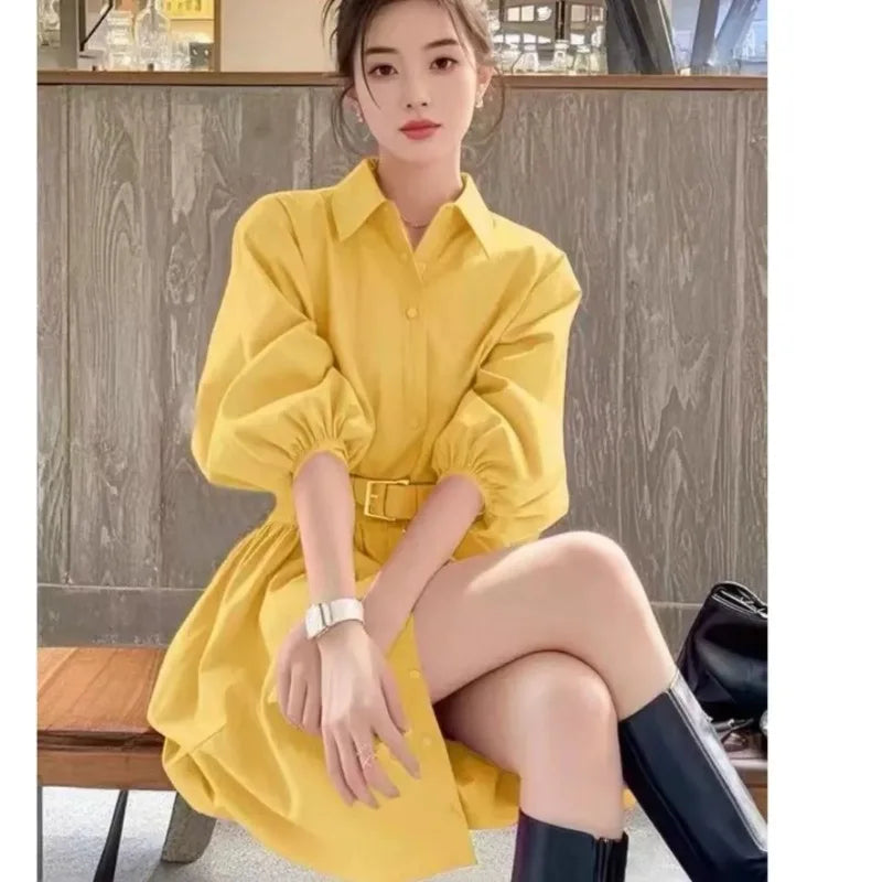 New Spring Summer Women's Dress Clothes Fashion Elegant Temperament Waist Causal All-Match Pullover Dress Ladies Vestidos