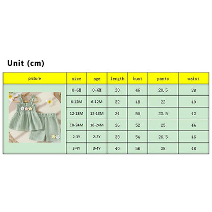 0-4years Baby Girl Summer Outfit 3D Flower Design Ruffled Trim Smocked Sleeveless Tops and Shorts 2 Pcs Set for Toddler girls