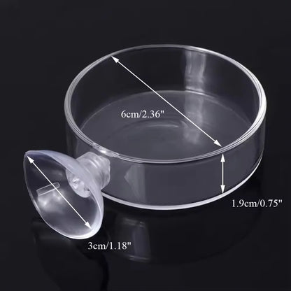 Fish Tank Feeder Aquarium Shrimp Glass Feeding Bowl Clear Dish Tray Container Feeders Aquarium Round  Square Fish Shrimp Feeding