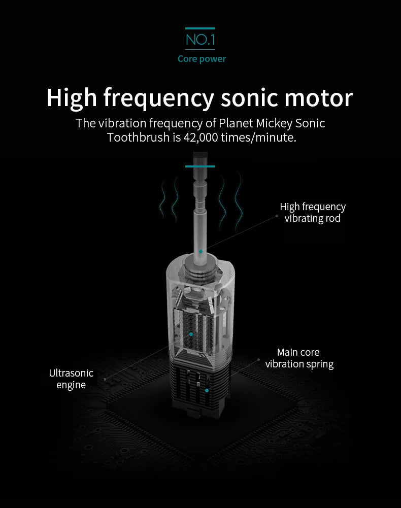 Adult Sonic Electric Toothbrush IPX7 Waterproof with DuPont Brush Head USB Rechargeable High-Frequency Cleaning 6 Modes