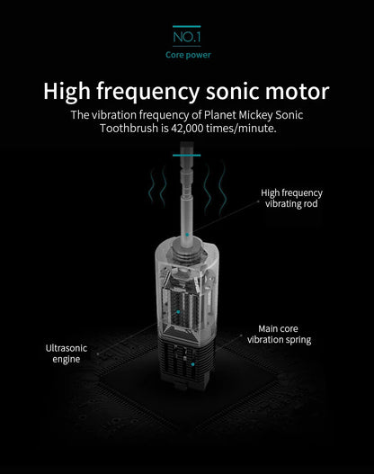 Adult Sonic Electric Toothbrush IPX7 Waterproof with DuPont Brush Head USB Rechargeable High-Frequency Cleaning 6 Modes