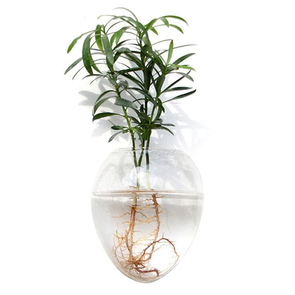 Cone Shape Wall Hanging Vase Transparent Fish Tank Wall Planter Plant Holder Aquarium Container Hydroponics Plants Flowerpot