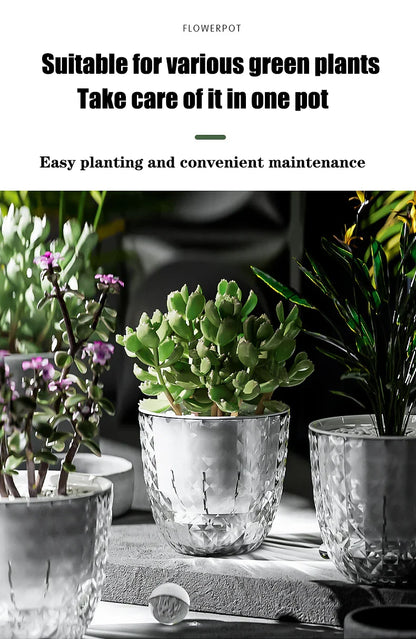 Self Watering Flowerpot Automatic Water Absorbing Flowerpot Transparent Double Layer Plastic Succulent Plant Pot Decorative Pot