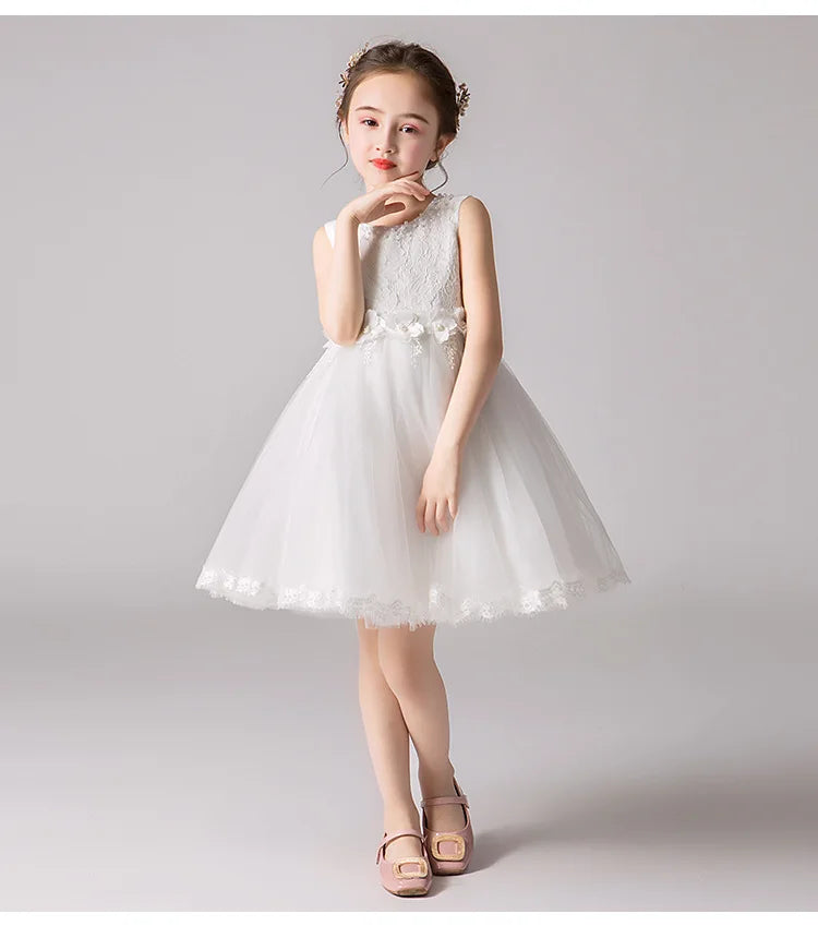 Girl's Princess dress Children's Day Birthday Party Lace Bubble skirt Summer style Dress