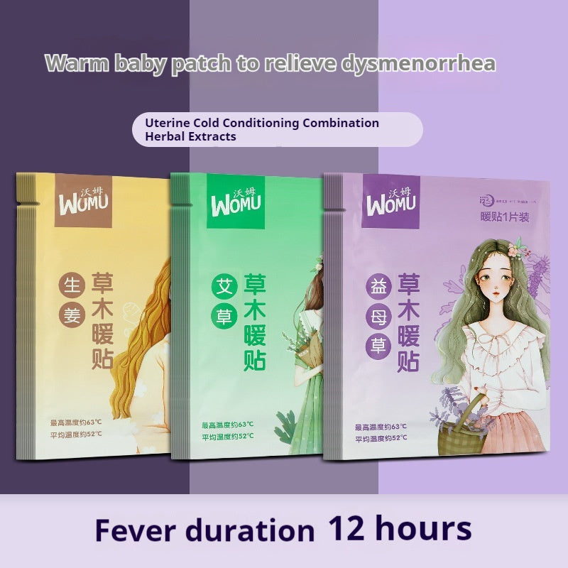Argy Wormwood Warm Paste Baby Warmer Self-heating Uterus Warming Plaster Ginger Plaster