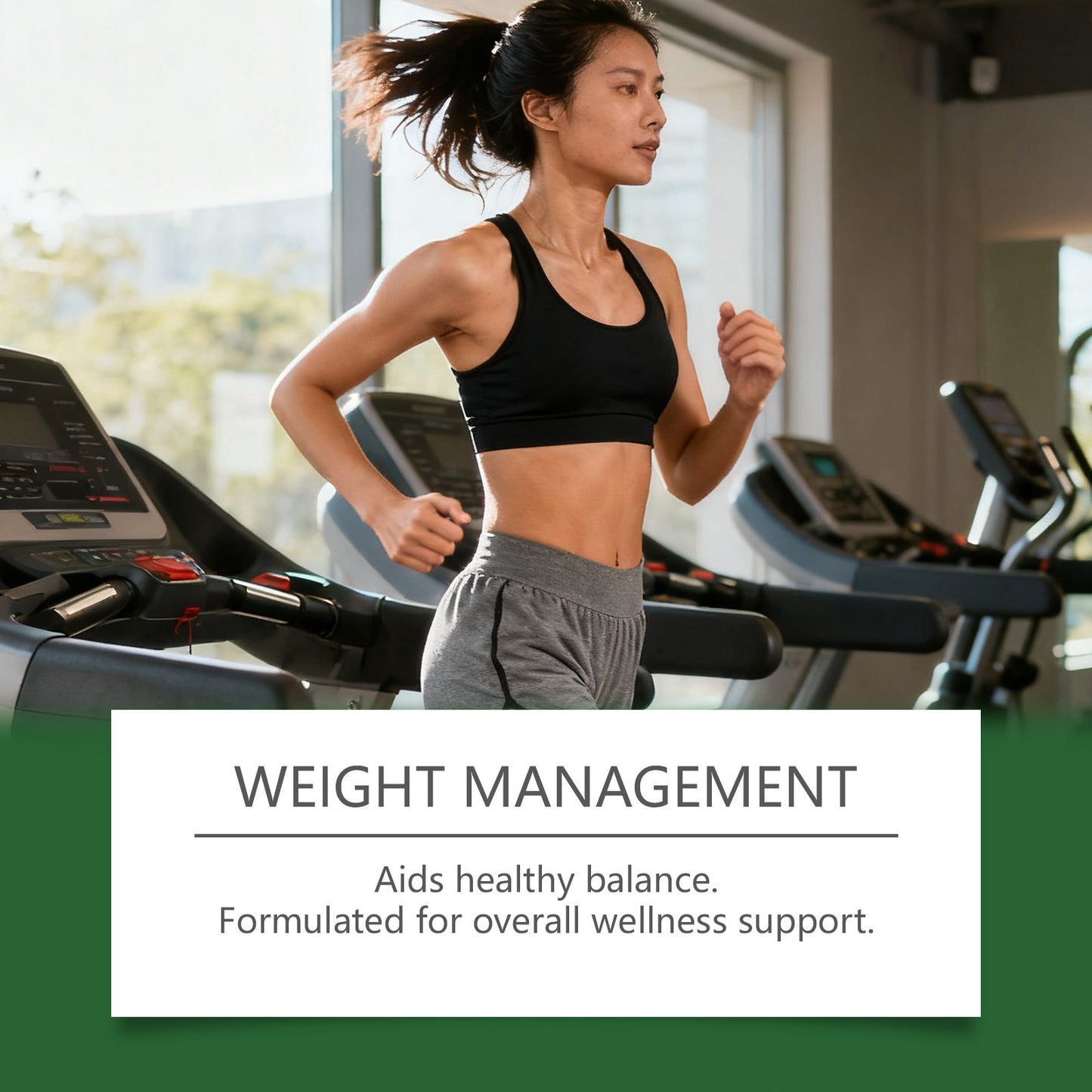 Coconut Oil Soft Capsule